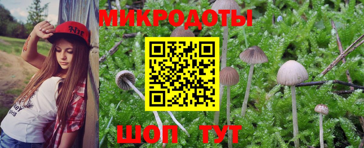 Псилоцибиновые грибы Psilocybine cubensis Кохма