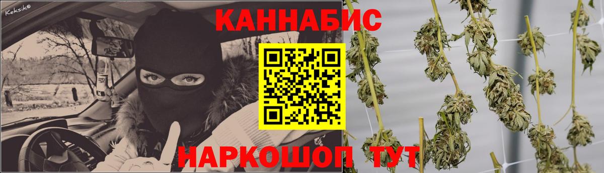 МАРИХУАНА сатива Кохма
